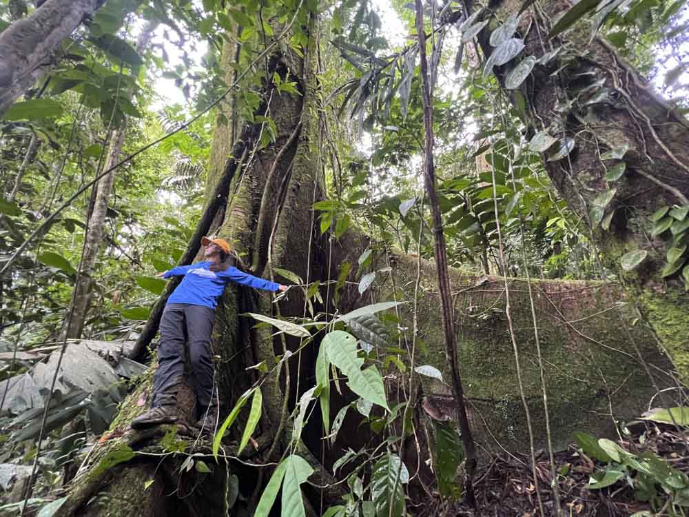 1.MUTATA -AVENTURA - NATURALEZA - CAÑONISMO - BOSQUE - SELVA - ANTIOQUIA - COMUNITARIO - RUTAL 1 (10)