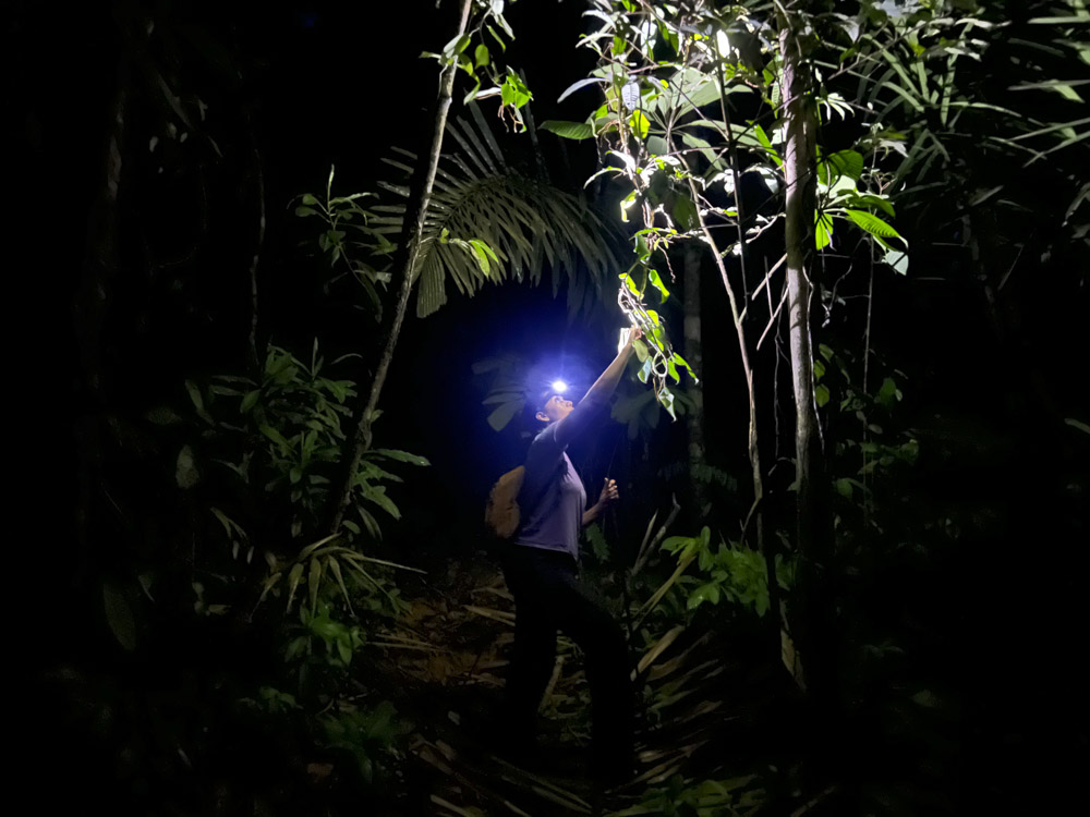 1.MUTATA -AVENTURA - NATURALEZA - CAÑONISMO - BOSQUE - SELVA - ANTIOQUIA - COMUNITARIO - RUTAL 1 (8)