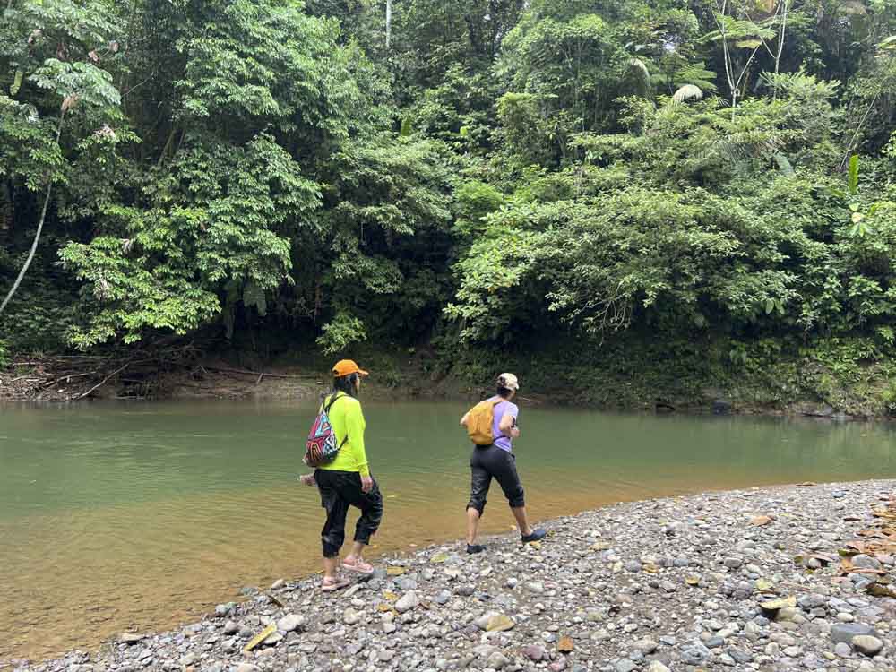 1.MUTATA -AVENTURA - NATURALEZA - CAÑONISMO - BOSQUE - SELVA - ANTIOQUIA - COMUNITARIO - RUTAL 1 (9)