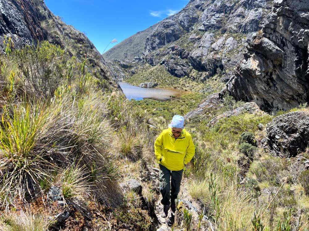 0. PARAMO - SANTURBAN - SANTANDER - LAGUNAS - FRAILEJONES - CAMIANTA - SENDERISMO 1 (2)