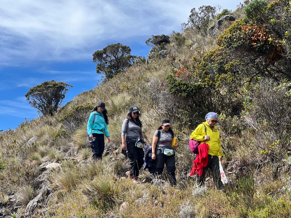 1. PARAMO - SANTURBAN - SANTANDER - LAGUNAS - FRAILEJONES - CAMIANTA - SENDERISMO 1 (7)