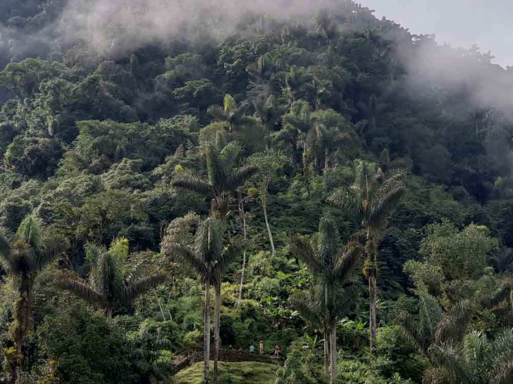 1.TEYUNA- SENDERISMO - SANTA MARTA- CAMINATA - CIUDAD PERDIDA - COMUNIDAD 1 (1)