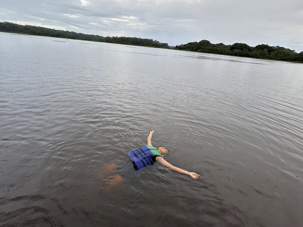 1. AMAZONAS - SELVA - ARBOLES - COLOMBIA - ANIMALES SALVAJES - RIO AMAZONAS - LETICIA (2)