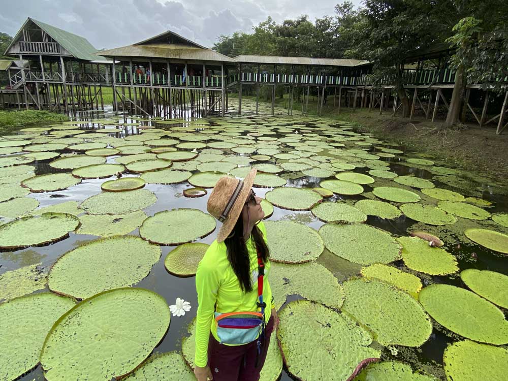 1. AMAZONAS - SELVA - ARBOLES - COLOMBIA - ANIMALES SALVAJES - RIO AMAZONAS - LETICIA (3)