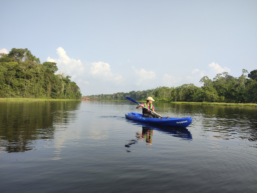 1. AMAZONAS - SELVA - ARBOLES - COLOMBIA - ANIMALES SALVAJES - RIO AMAZONAS - LETICIA (8)