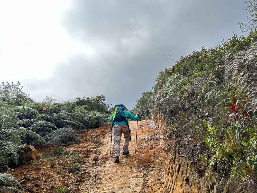 1.SENDERISMO - CAMINATA - ARATOCA- CAÑON - BOSQUE PINO - NATURALEZA - SANTANDER 0 (1)