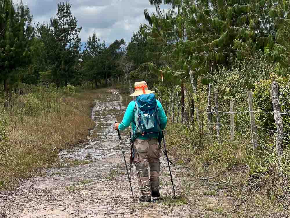 1.SENDERISMO - CAMINATA - ARATOCA- CAÑON - BOSQUE PINO - NATURALEZA - SANTANDER 0 (5)