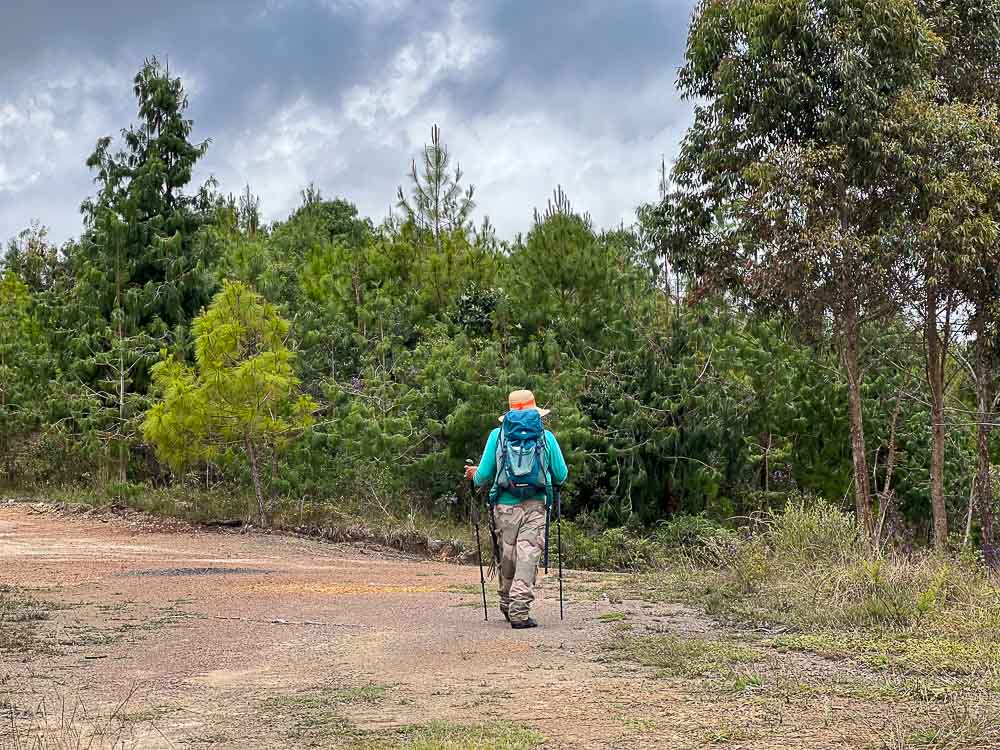 1.SENDERISMO - CAMINATA - ARATOCA- CAÑON - BOSQUE PINO - NATURALEZA - SANTANDER 0 (6)