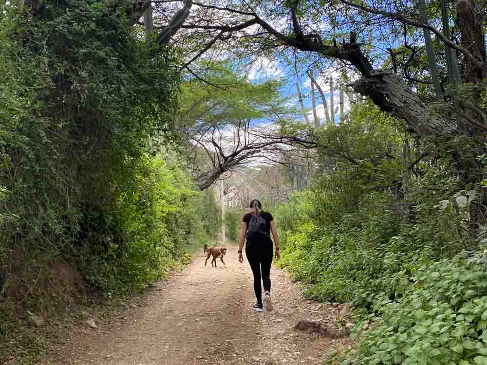 1.SENDERISMO - CAMINATA -UMPALA - CAÑON CHICAMOCHA (5)