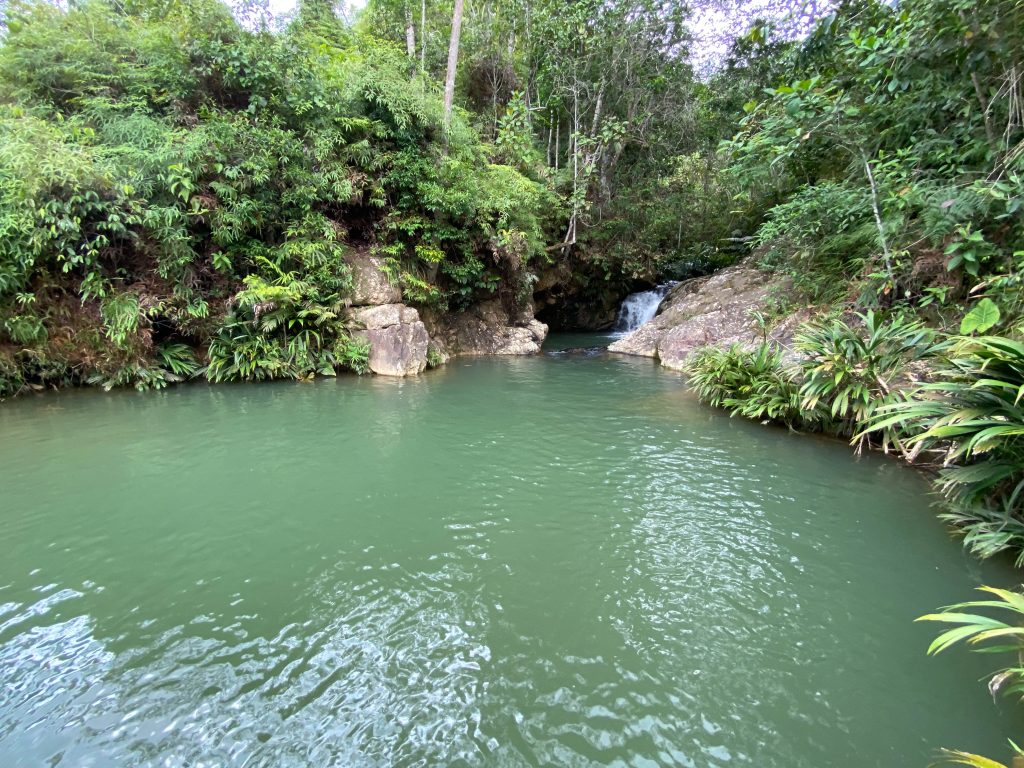 1.CAMINTA - CASCADA - POZO - SENDERISMO - SANTANDER - BUCARAMANGA- PERROS - RIO - AGUA CRISTALINA 1 (1)