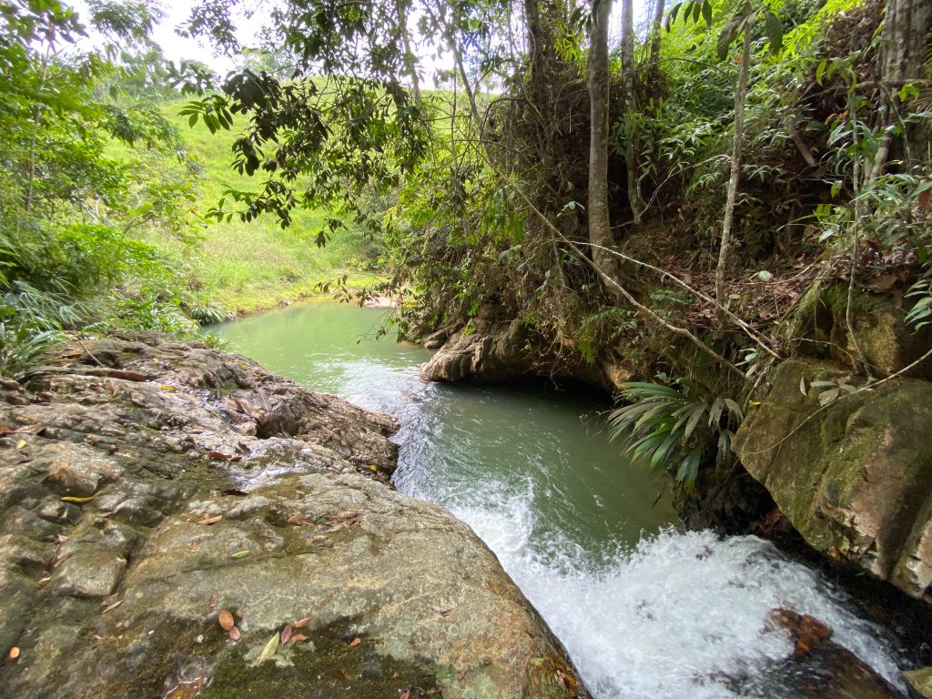 1.CAMINTA - CASCADA - POZO - SENDERISMO - SANTANDER - BUCARAMANGA- PERROS - RIO - AGUA CRISTALINA 1 (3)