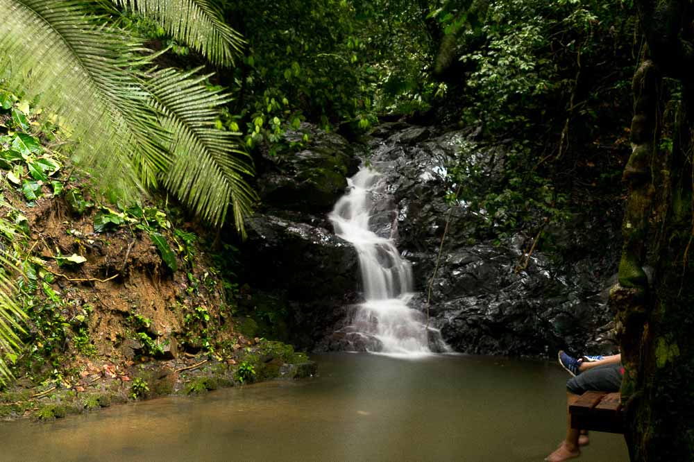 0.CAPURGANÁ - SAPZURRO - LA MIEL - SOLEDAD - MAR - PLAYA - PANAMA - CHOCO - PARQUE NACIONAL NATURAL 1 (3)