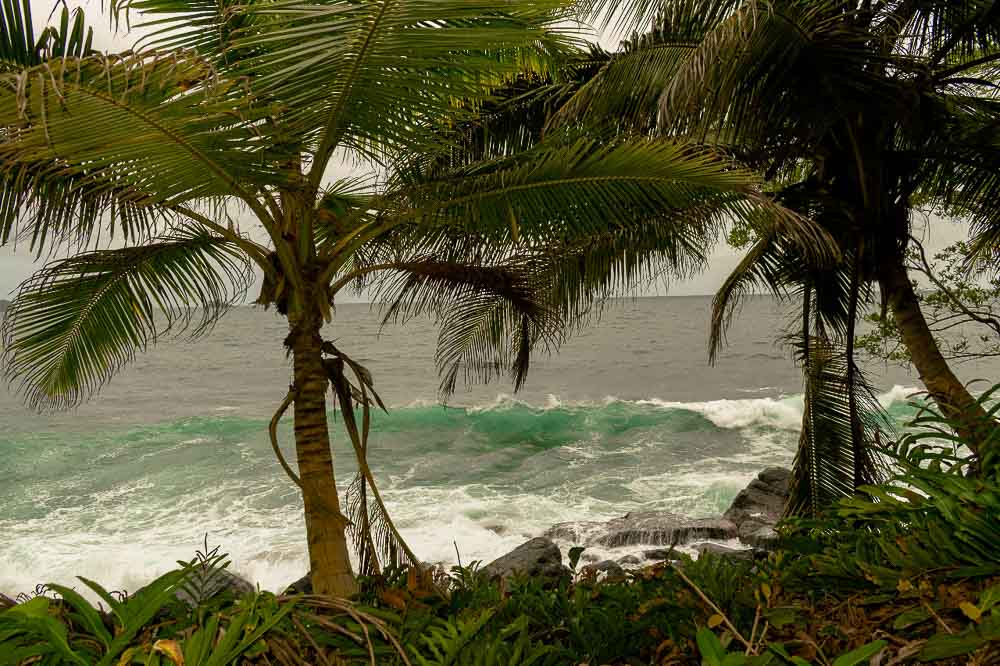 0.CAPURGANÁ - SAPZURRO - LA MIEL - SOLEDAD - MAR - PLAYA - PANAMA - CHOCO - PARQUE NACIONAL NATURAL 1 (9)