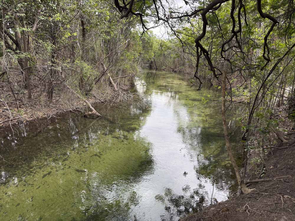 1.VICHADA - COLOMBIA - SELVA AMAZONICA - TUPARRO - PARQUE NACIONAL NATURAL - RIO - ATARDECER - COMUNIDADES (6)