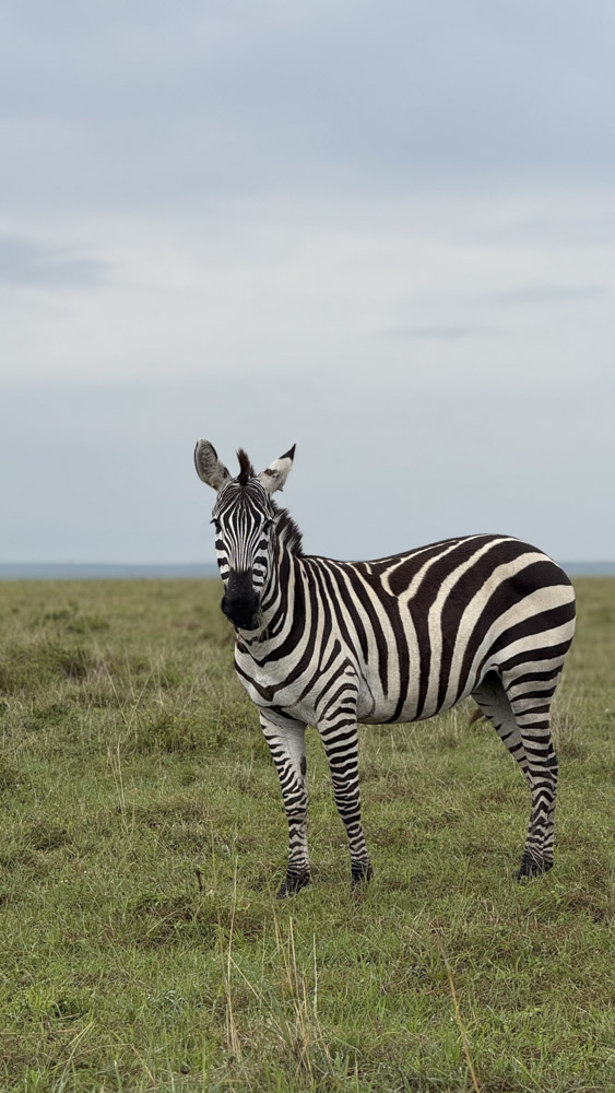 2.KENIA - AFRICA - tanzania - etiopia - elefante - sabana africana - jirafas - masai mara - etnicas africanas 1 (13)