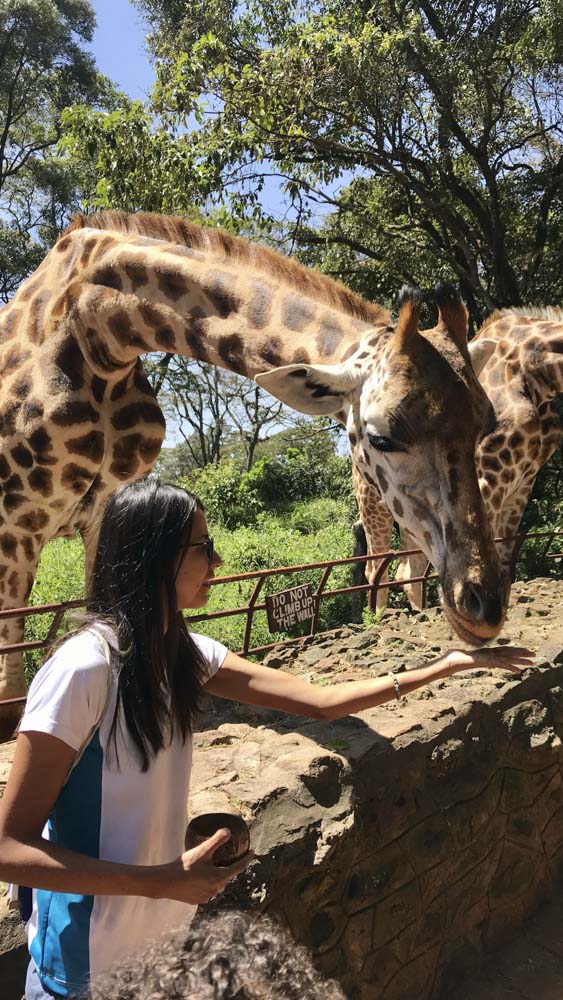 2.KENIA - AFRICA - tanzania - etiopia - elefante - sabana africana - jirafas - masai mara - etnicas africanas 1 (2)