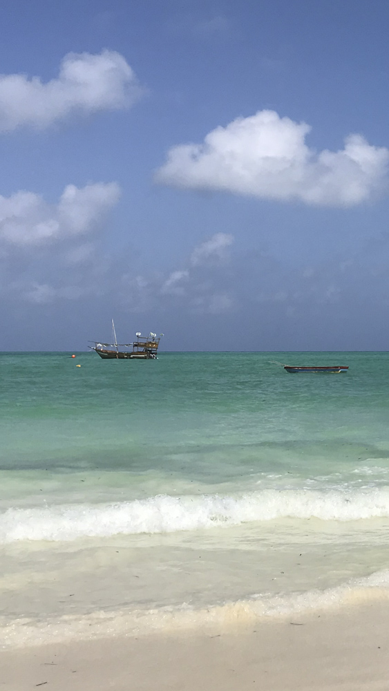 2.KENIA - AFRICA - tanzania - etiopia - elefante - sabana africana - jirafas - masai mara - etnicas africanas 1 (4)