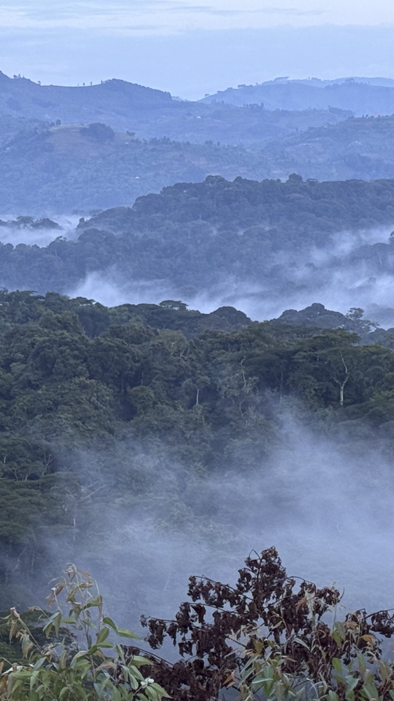 2.KENIA - AFRICA - tanzania - etiopia - elefante - sabana africana - jirafas - masai mara - etnicas africanas 1 (7)