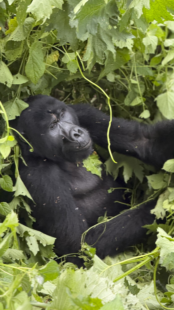 2.KENIA - AFRICA - tanzania - etiopia - elefante - sabana africana - jirafas - masai mara - etnicas africanas 1 (9)