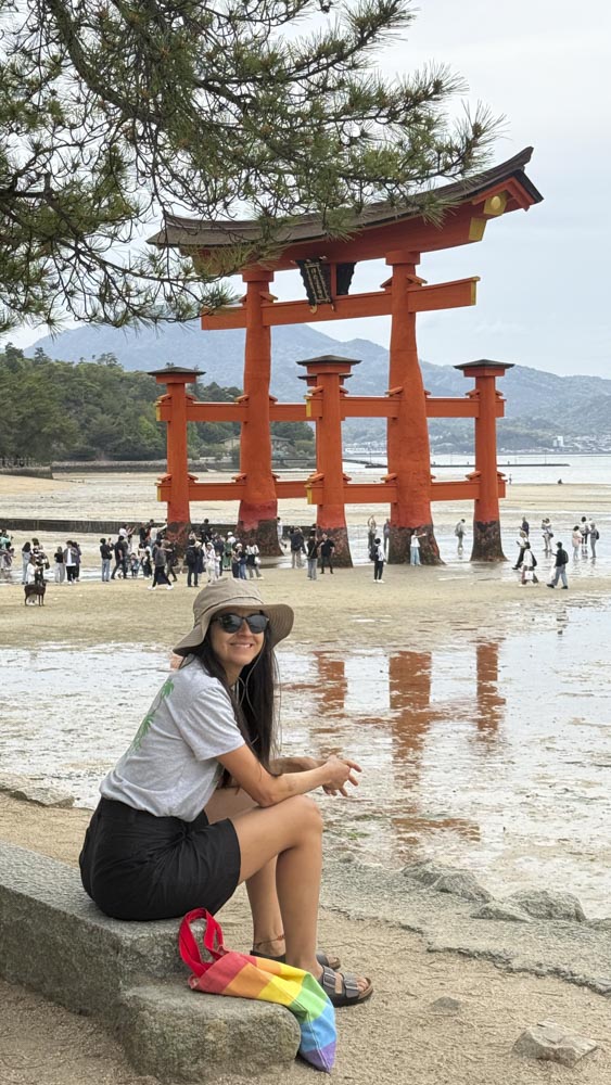 2. japon - korea - asia - cerezos - te - tokio - kioto - seul - corea (14)
