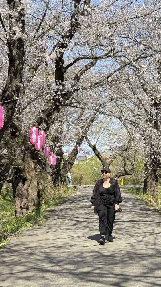 2. japon - korea - asia - cerezos - te - tokio - kioto - seul - corea (16)