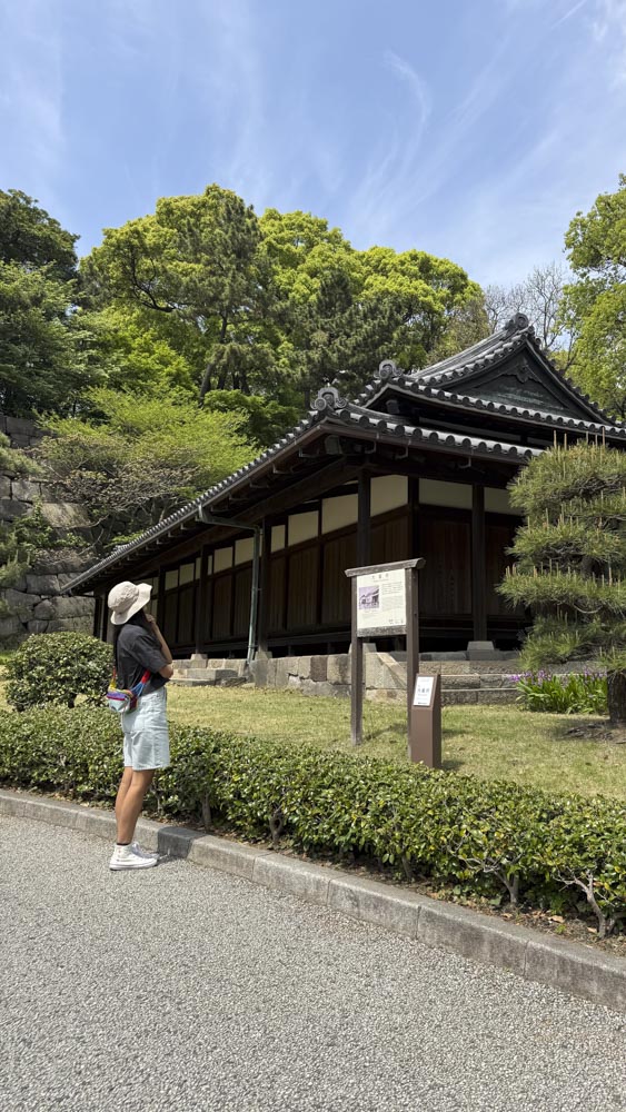 2. japon - korea - asia - cerezos - te - tokio - kioto - seul - corea (19)