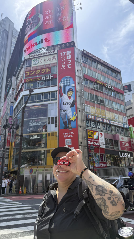 2. japon - korea - asia - cerezos - te - tokio - kioto - seul - corea (20)