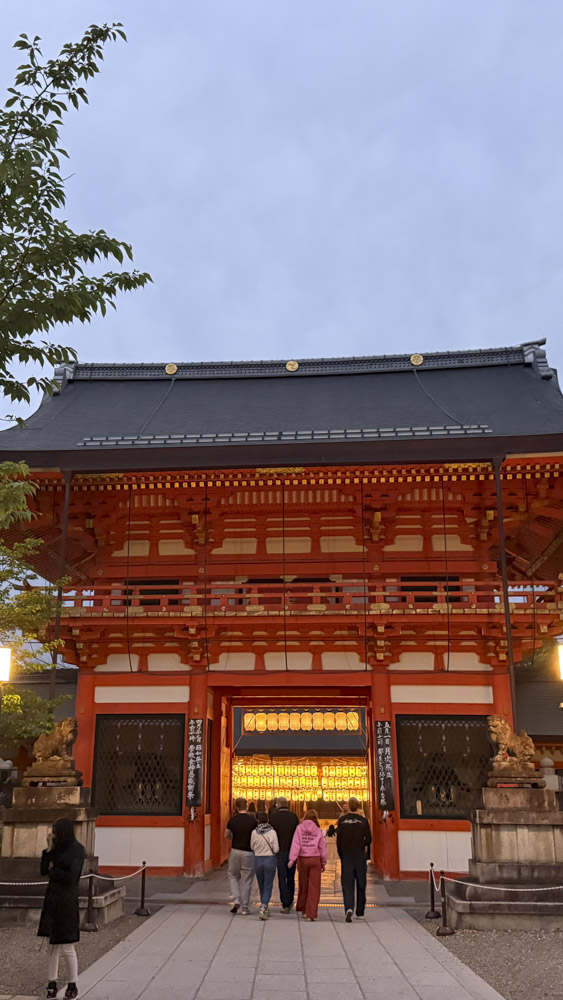 2. japon - korea - asia - cerezos - te - tokio - kioto - seul - corea (26)